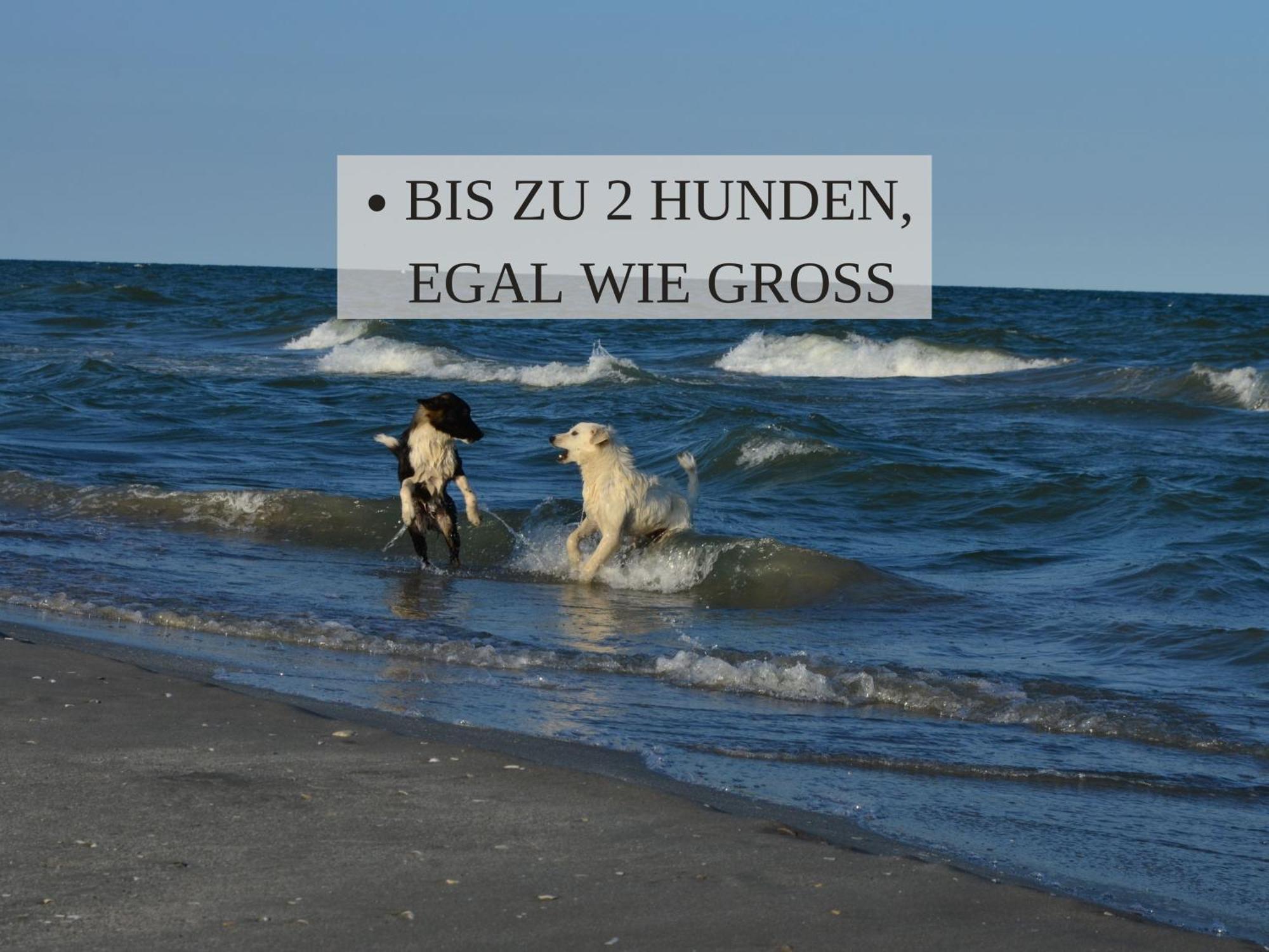 Haus Krabbe, Apartment 10, Naehe Bremerhaven, Fuer 1-2 Personen, 2 Schlafzimmer, Einzelbetten, Zweite Etage, Zentral Gelegen, Bis Zu 2 Hunden Kostenfrei Willkommen Wremen Eksteriør bilde